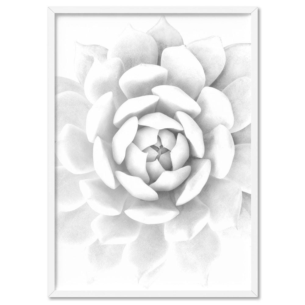 White Succulent Art Print. Albino Cactus Wall Art Poster – Print and ...
