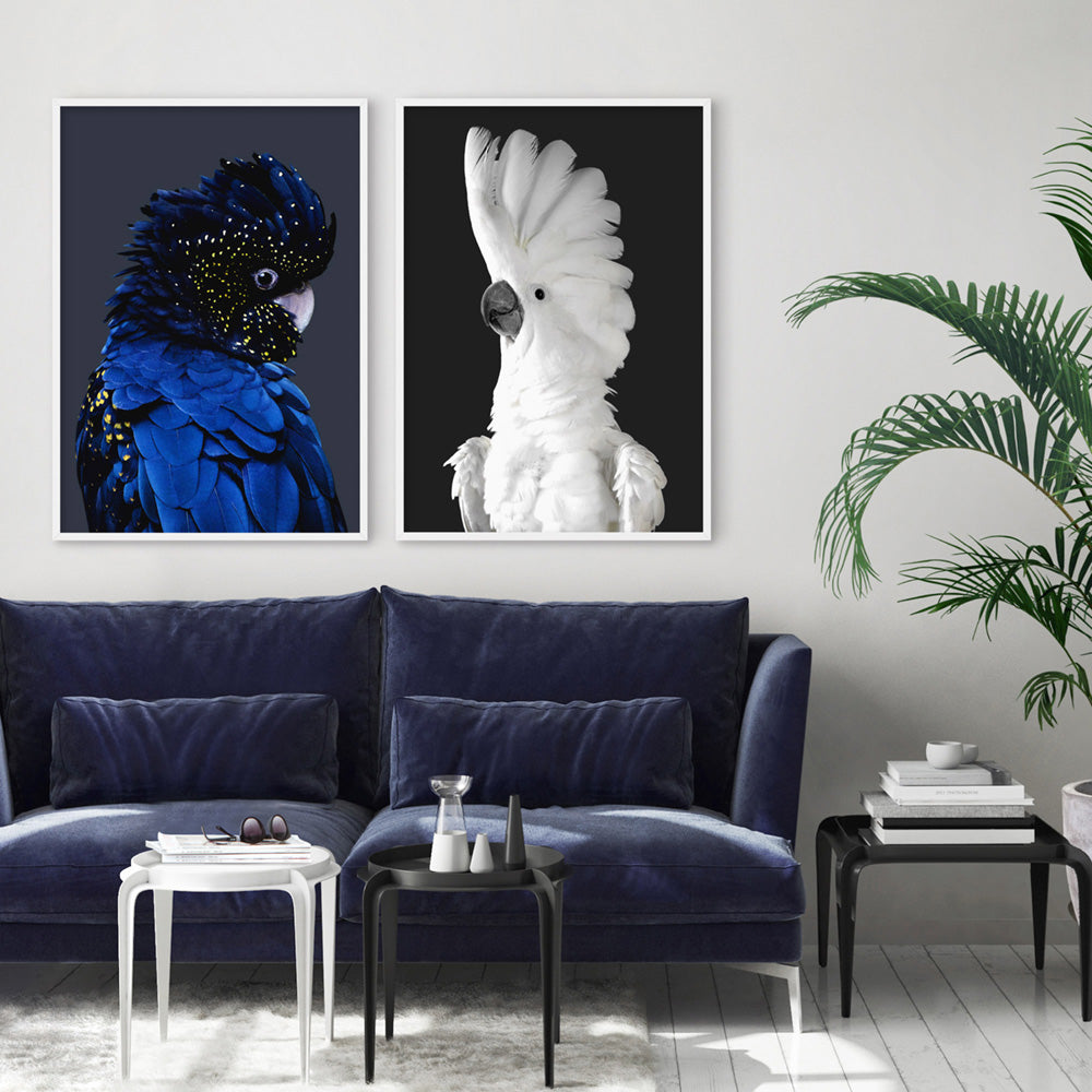 Black Cockatoo (indigo tones) - Art Print, Poster, Stretched Canvas or Framed Wall Art, shown framed in a home interior space