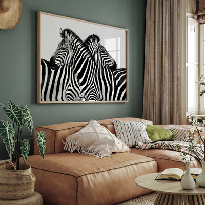 Zebra Embrace - Art Print, Poster, Stretched Canvas or Framed Wall Art, shown framed in a home interior space