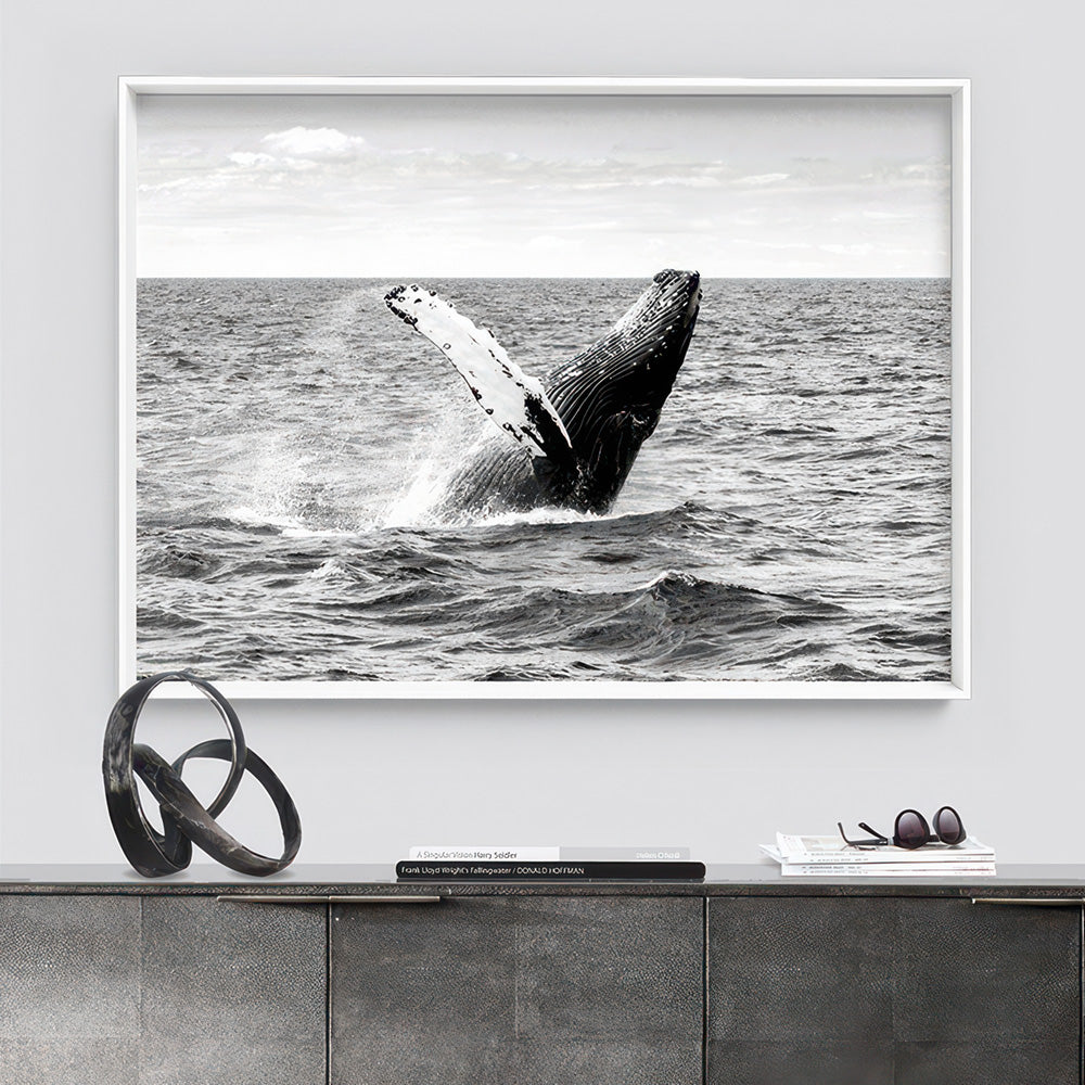 Humpback Whale Breach Landscape II - Art Print, Poster, Stretched Canvas or Framed Wall Art Prints, shown framed in a room