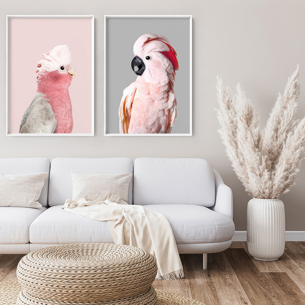 Galah Pink Cockatoo on Blush - Art Print, Poster, Stretched Canvas or Framed Wall Art, shown framed in a home interior space