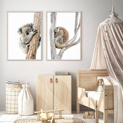 Koala Sleeping I - Art Print, Poster, Stretched Canvas or Framed Wall Art, shown framed in a home interior space