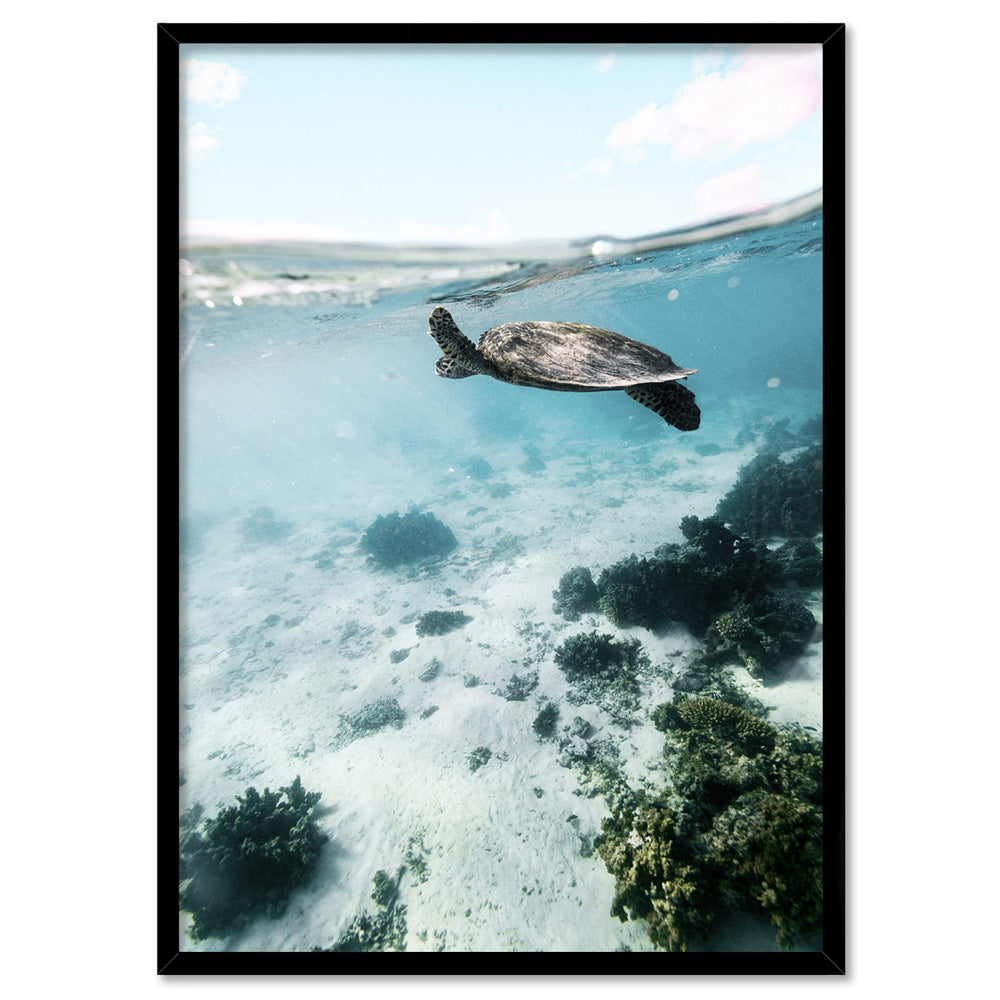 Turtle at Exmouth II - Art Print by Beau Micheli, Poster, Stretched Canvas, or Framed Wall Art Print, shown in a black frame