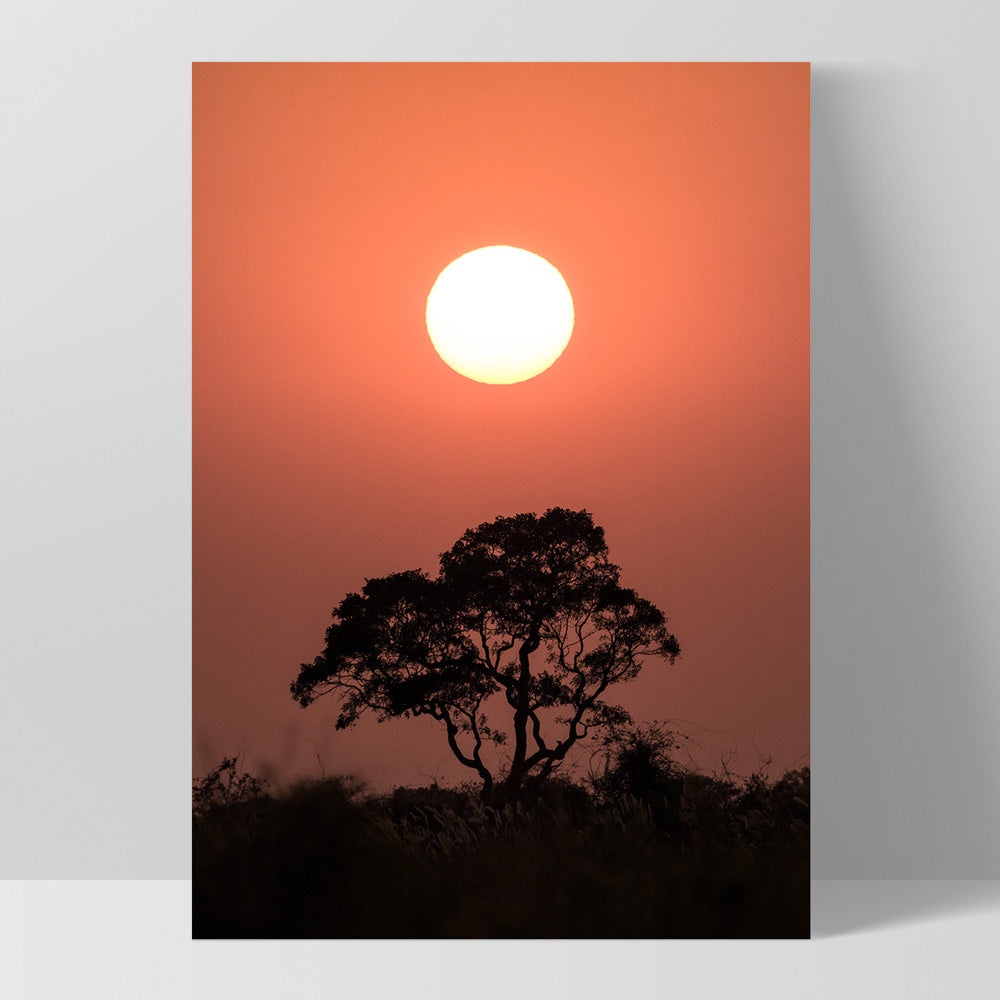 Sunset on the Kalahari II - Art Print by Beau Micheli, Poster, Stretched Canvas, or Framed Wall Art Print, shown as a stretched canvas or poster without a frame
