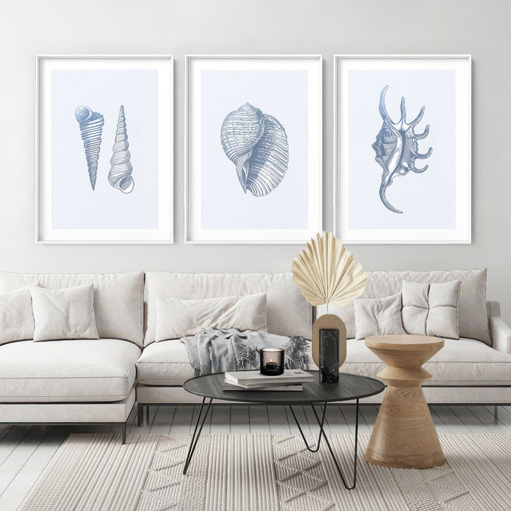 Sea Shells in Blue | Scotch Bonnet - Art Print, Poster, Stretched Canvas or Framed Wall Art, shown framed in a home interior space