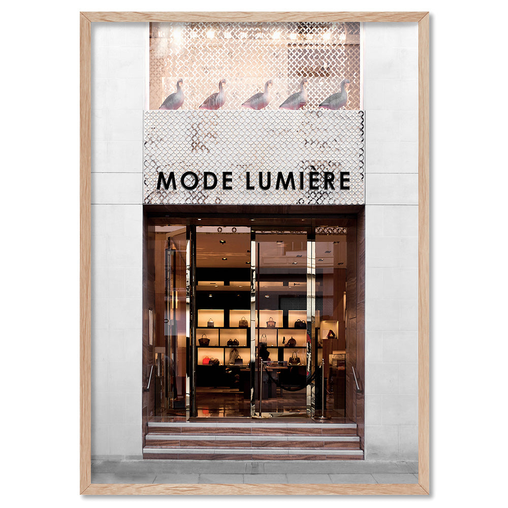 Mode Lumiere Entrance  - Art Print, Poster, Stretched Canvas, or Framed Wall Art Print, shown in a natural timber frame