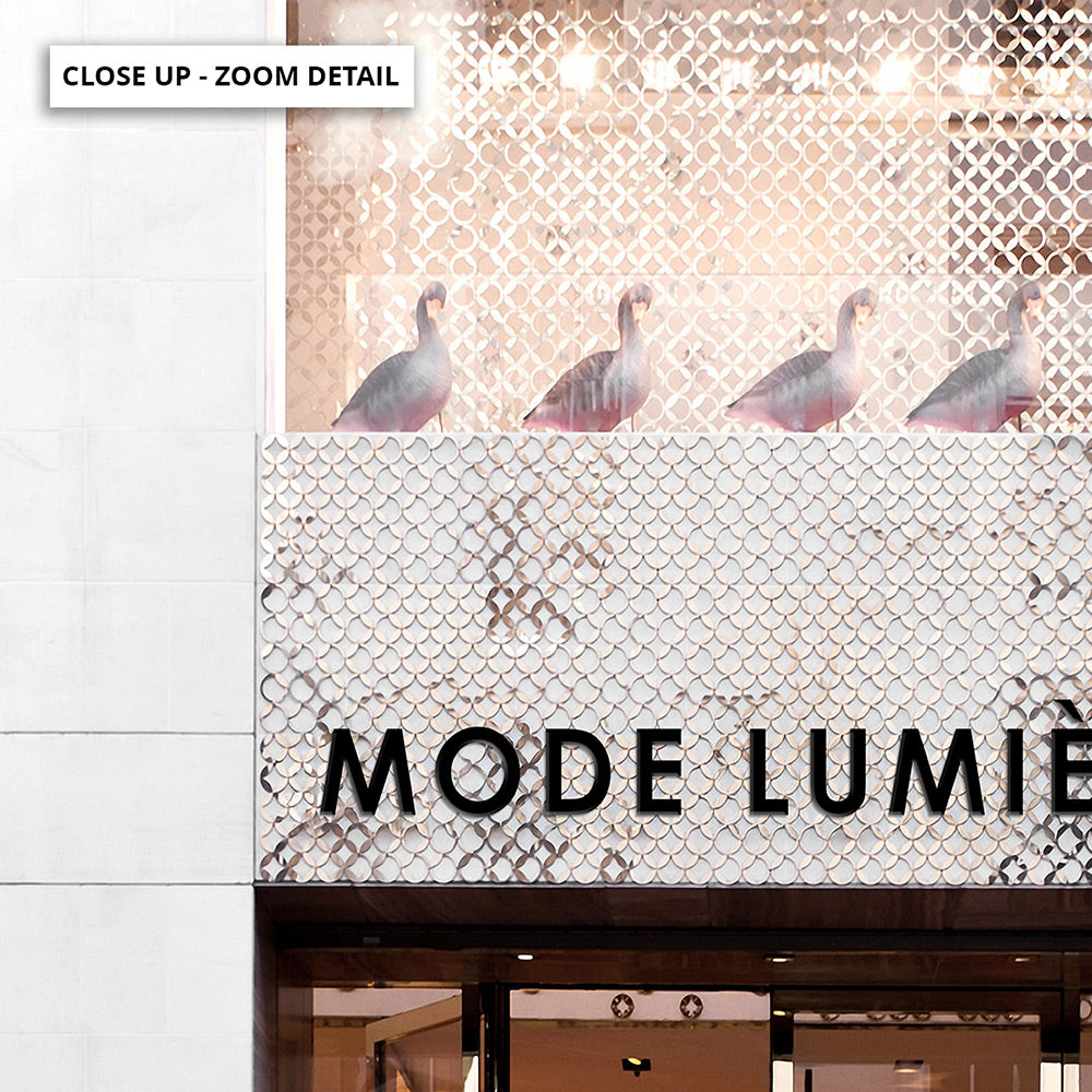 Mode Lumiere Entrance  - Art Print, Poster, Stretched Canvas or Framed Wall Art, Close up View of Print Resolution