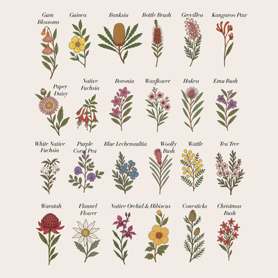 Family Birth Flowers | Australian Natives - Art Print, Poster, Stretched Canvas or Framed Wall Art, Close up View of Print Resolution