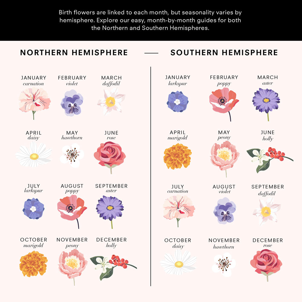 Family Birth Flowers | Modern - Art Print, Poster, Stretched Canvas or Framed Wall Art, shown framed in a home interior space