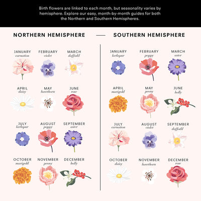 Family Birth Flowers | Modern - Art Print, Poster, Stretched Canvas or Framed Wall Art, shown framed in a home interior space