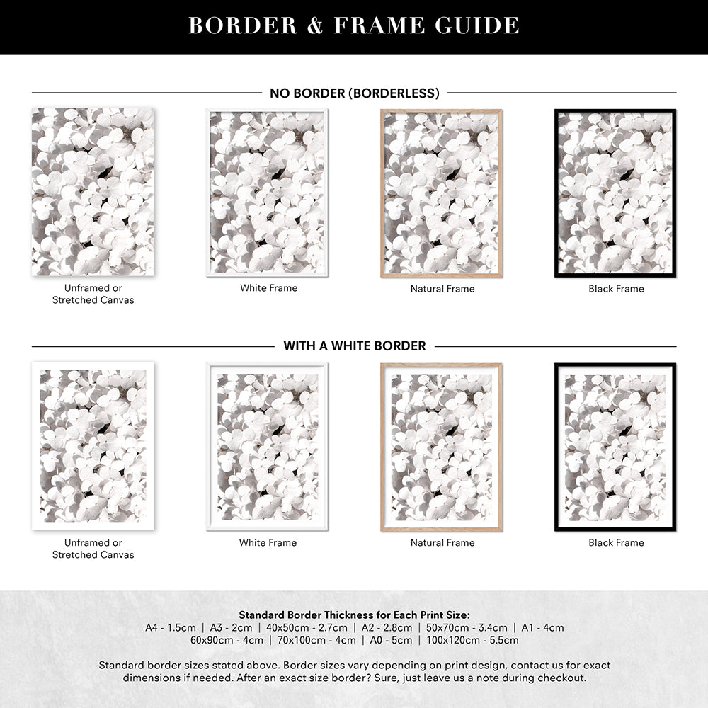White Hydrangea Detail - Art Print, Poster, Stretched Canvas or Framed Wall Art, Showing White , Black, Natural Frame Colours, No Frame (Unframed) or Stretched Canvas, and With or Without White Borders