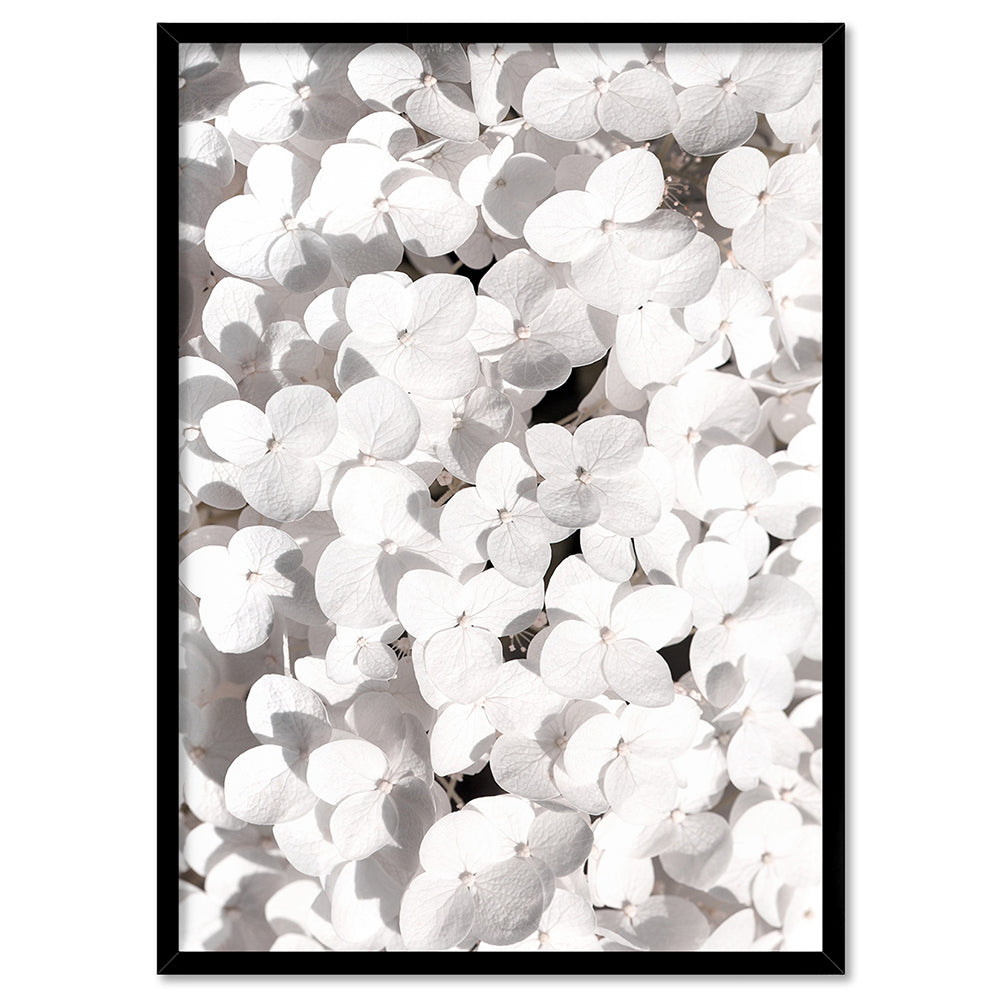 White Hydrangea Detail - Art Print, Poster, Stretched Canvas, or Framed Wall Art Print, shown in a black frame