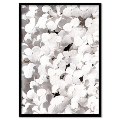 White Hydrangea Detail - Art Print, Poster, Stretched Canvas, or Framed Wall Art Print, shown in a black frame