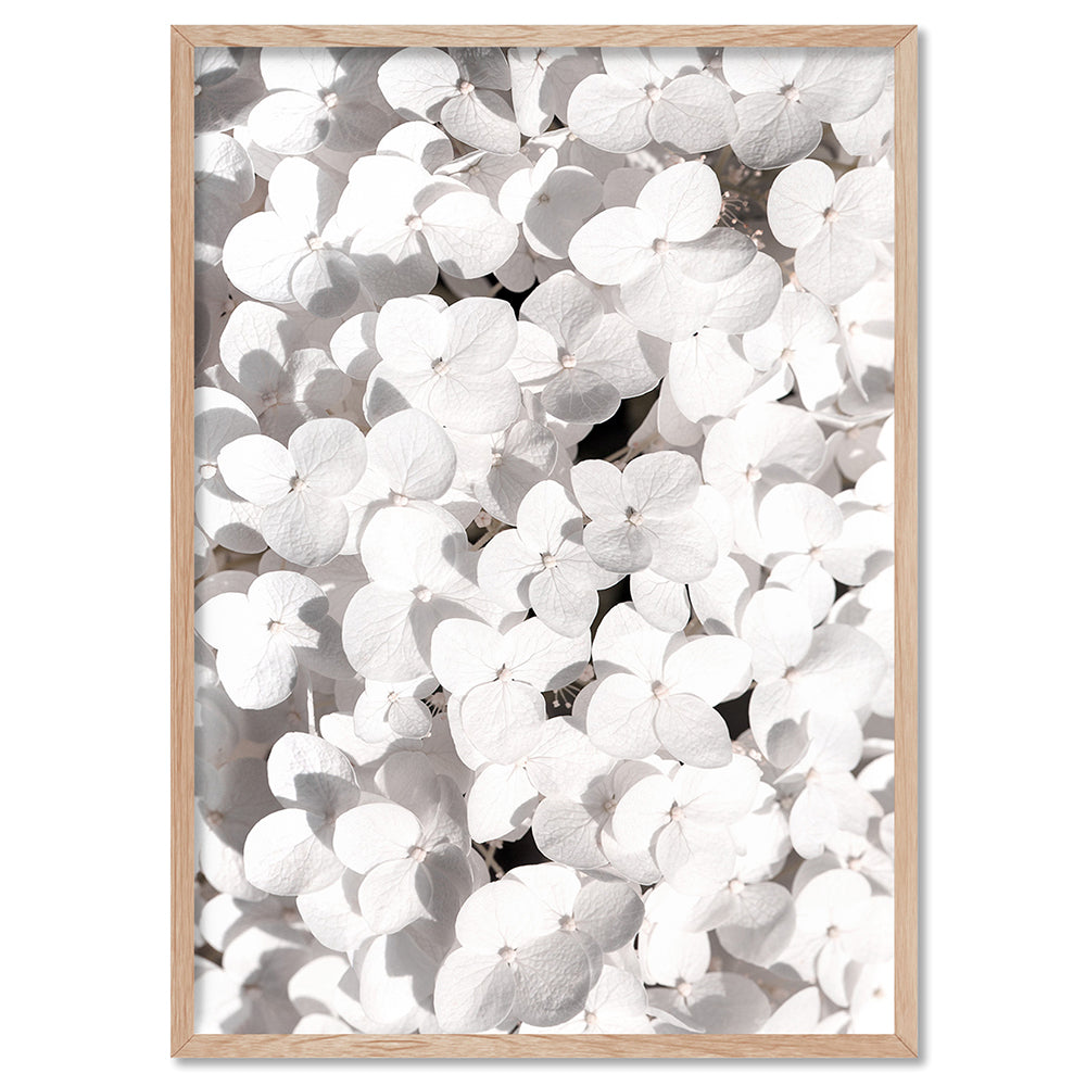 White Hydrangea Detail - Art Print, Poster, Stretched Canvas, or Framed Wall Art Print, shown in a natural timber frame