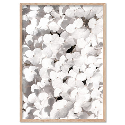 White Hydrangea Detail - Art Print, Poster, Stretched Canvas, or Framed Wall Art Print, shown in a natural timber frame