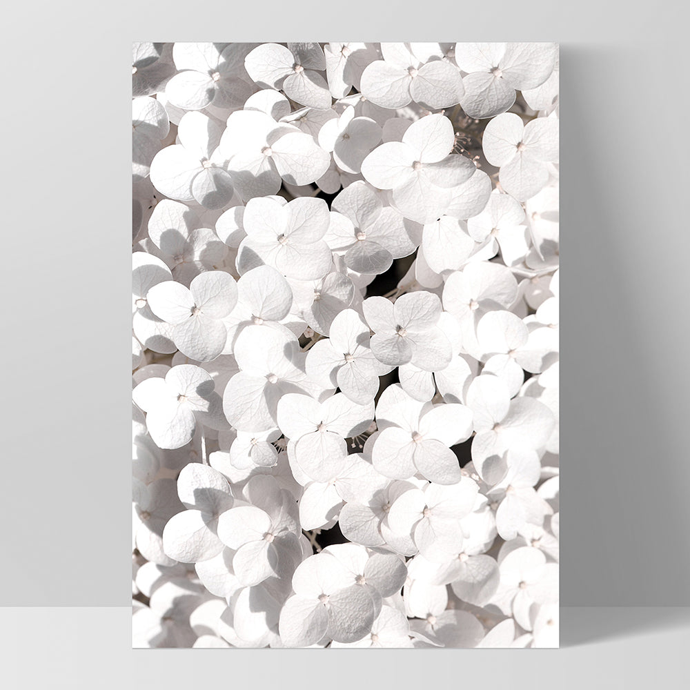 White Hydrangea Detail - Art Print, Poster, Stretched Canvas, or Framed Wall Art Print, shown as a stretched canvas or poster without a frame