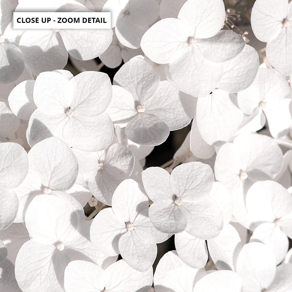 White Hydrangea Detail - Art Print, Poster, Stretched Canvas or Framed Wall Art, Close up View of Print Resolution