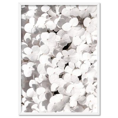 White Hydrangea Detail - Art Print, Poster, Stretched Canvas, or Framed Wall Art Print, shown in a white frame