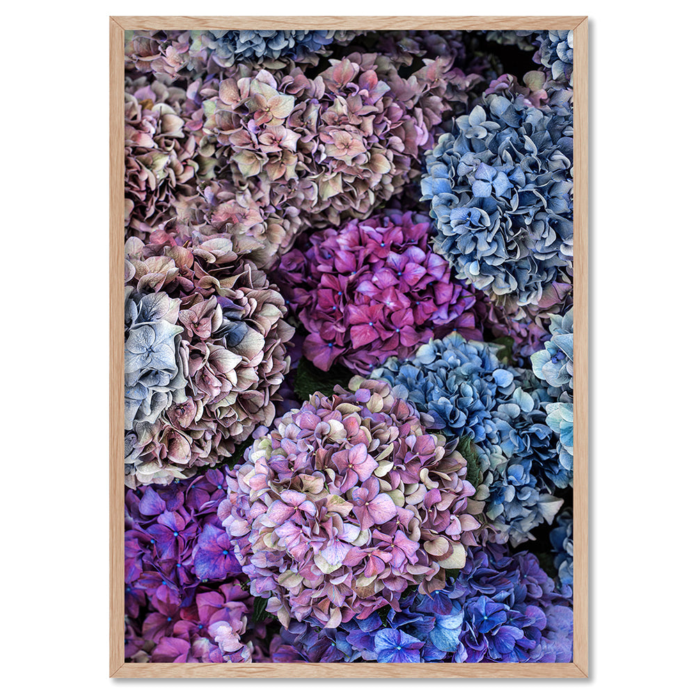 Purple & Pink Hydrangea Detail - Art Print, Poster, Stretched Canvas, or Framed Wall Art Print, shown in a natural timber frame