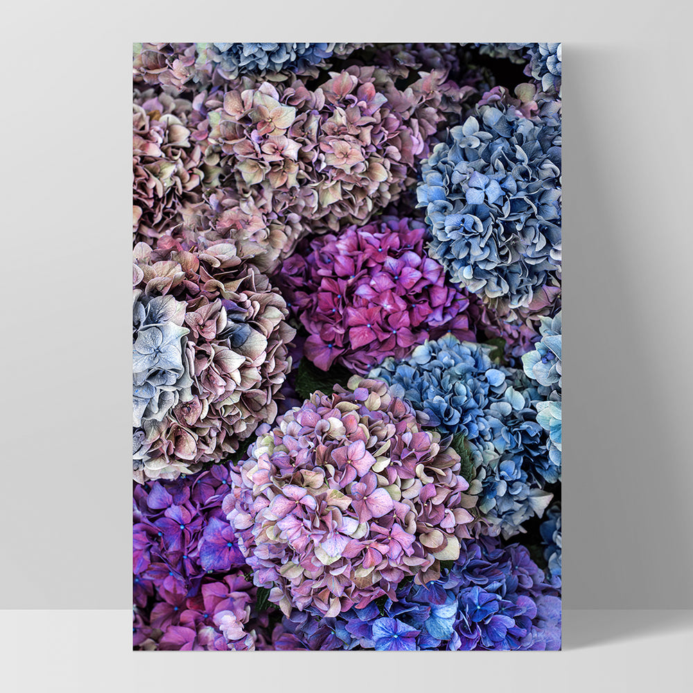 Purple & Pink Hydrangea Detail - Art Print, Poster, Stretched Canvas, or Framed Wall Art Print, shown as a stretched canvas or poster without a frame