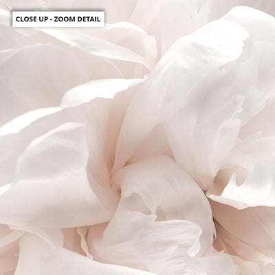 Peony Dance I - Art Print, Poster, Stretched Canvas or Framed Wall Art, Close up View of Print Resolution