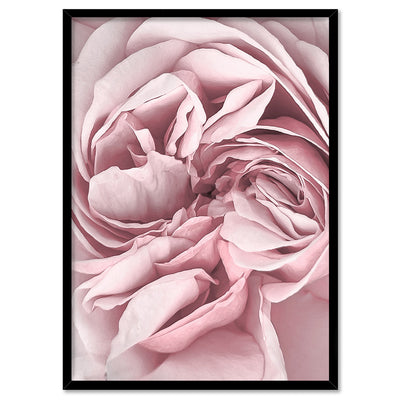 Peony Dance II - Art Print, Poster, Stretched Canvas, or Framed Wall Art Print, shown in a black frame