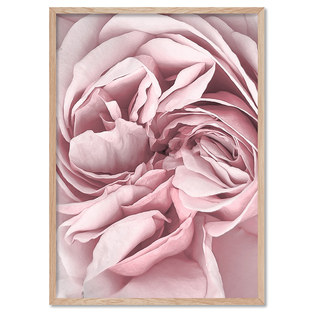 Peony Dance II - Art Print, Poster, Stretched Canvas, or Framed Wall Art Print, shown in a natural timber frame
