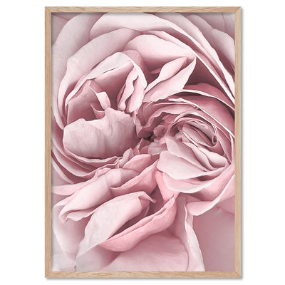 Peony Dance II - Art Print, Poster, Stretched Canvas, or Framed Wall Art Print, shown in a natural timber frame