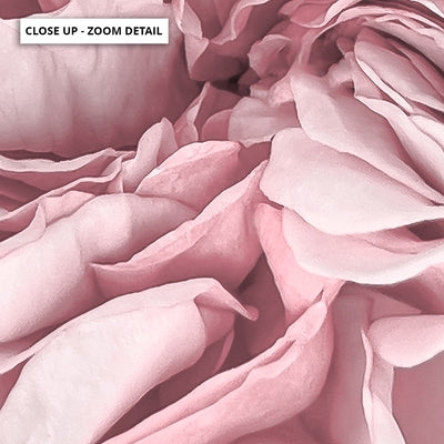 Peony Dance II - Art Print, Poster, Stretched Canvas or Framed Wall Art, Close up View of Print Resolution