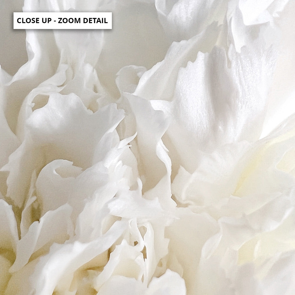 Chrysanthemum Dance I - Art Print, Poster, Stretched Canvas or Framed Wall Art, Close up View of Print Resolution