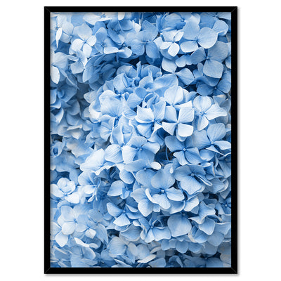 Blue Hydrangea Detail - Art Print, Poster, Stretched Canvas, or Framed Wall Art Print, shown in a black frame