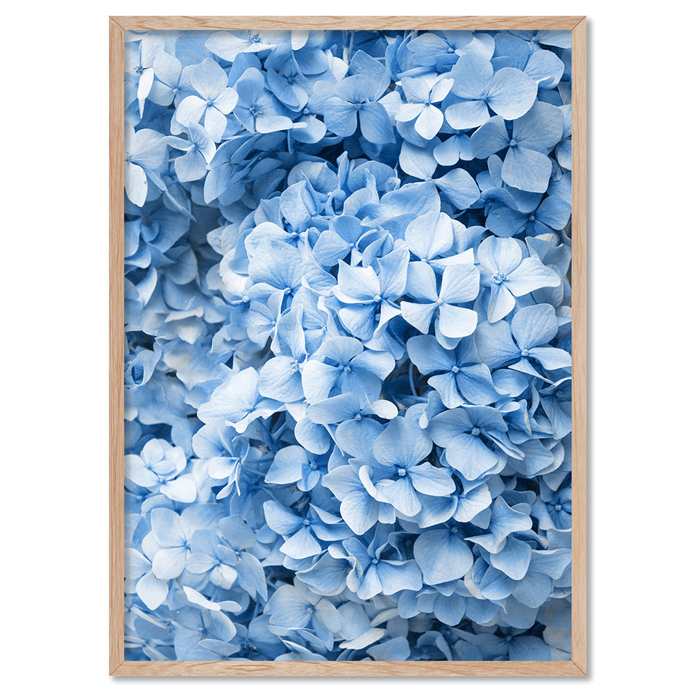 Blue Hydrangea Detail - Art Print, Poster, Stretched Canvas, or Framed Wall Art Print, shown in a natural timber frame