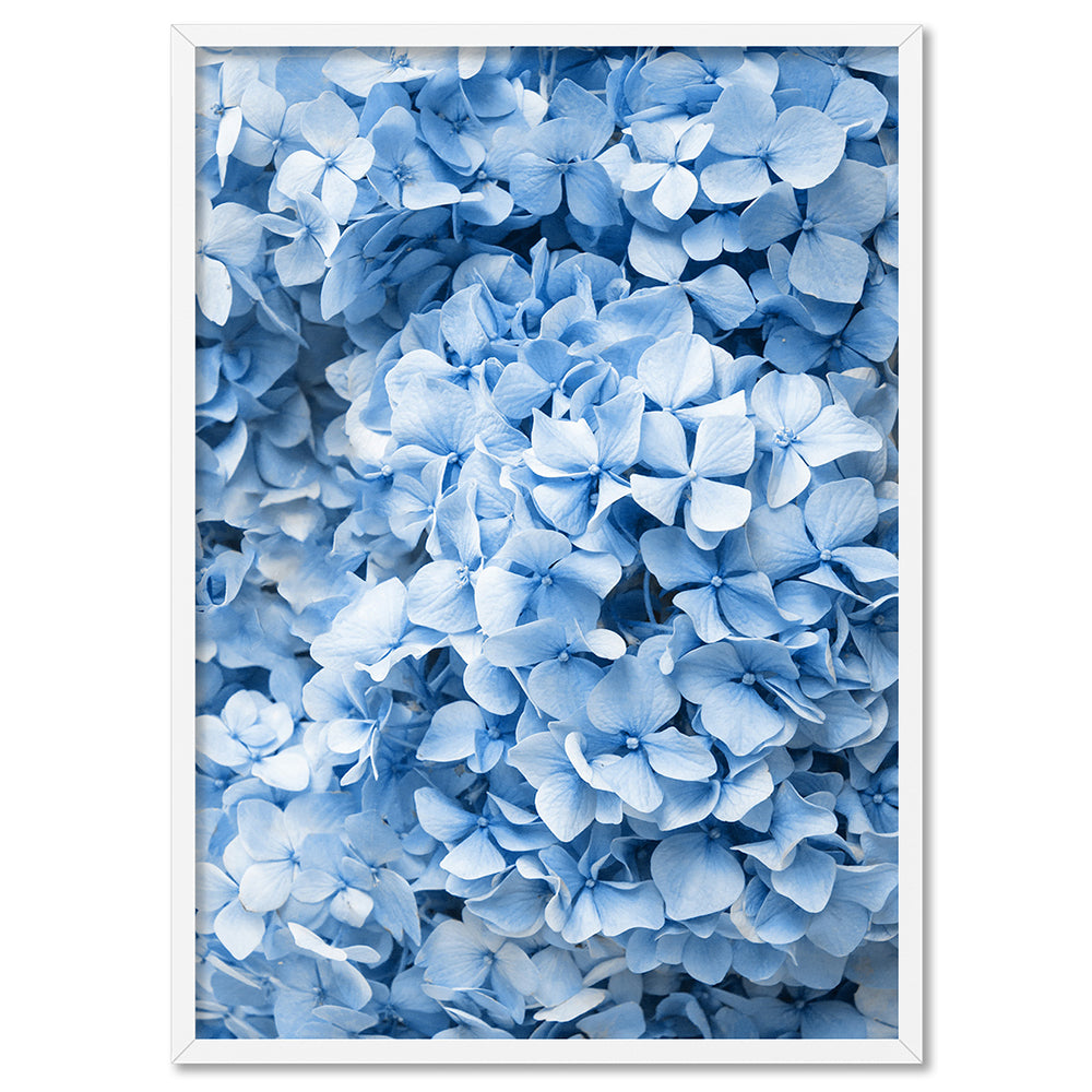 Blue Hydrangea Detail - Art Print, Poster, Stretched Canvas, or Framed Wall Art Print, shown in a white frame