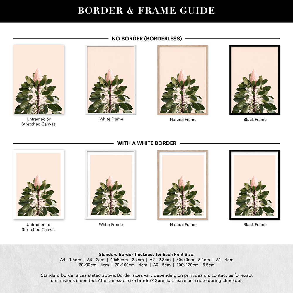 King Protea en Blush - Art Print, Poster, Stretched Canvas or Framed Wall Art, Showing White , Black, Natural Frame Colours, No Frame (Unframed) or Stretched Canvas, and With or Without White Borders