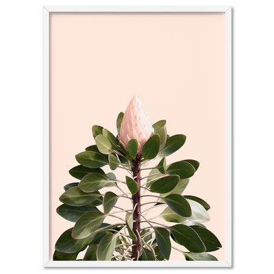 King Protea en Blush - Art Print, Poster, Stretched Canvas, or Framed Wall Art Print, shown in a white frame