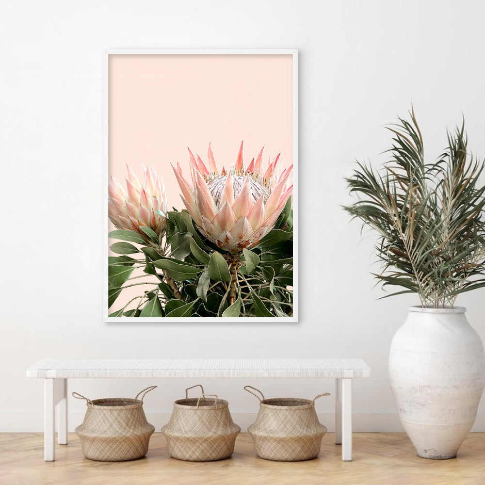 Protea Duo en Blush - Art Print, Poster, Stretched Canvas or Framed Wall Art Prints, shown framed in a room