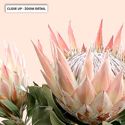 Protea Duo en Blush - Art Print, Poster, Stretched Canvas or Framed Wall Art, Close up View of Print Resolution