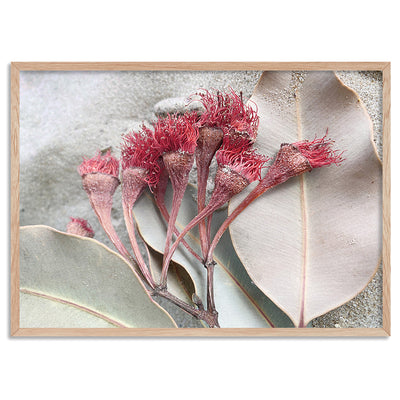 Dried Gum Flowers on the Beach Landscape - Art Print, Poster, Stretched Canvas, or Framed Wall Art Print, shown in a natural timber frame