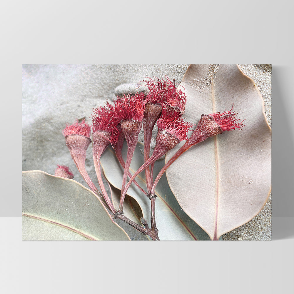 Dried Gum Flowers on the Beach Landscape - Art Print, Poster, Stretched Canvas, or Framed Wall Art Print, shown as a stretched canvas or poster without a frame