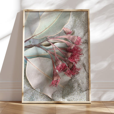 Dried Gum Flowers on the Beach - Art Print, Poster, Stretched Canvas or Framed Wall Art Prints, shown framed in a room