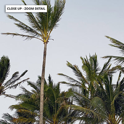 Palms at Dusk - Art Print, Poster, Stretched Canvas or Framed Wall Art, Close up View of Print Resolution