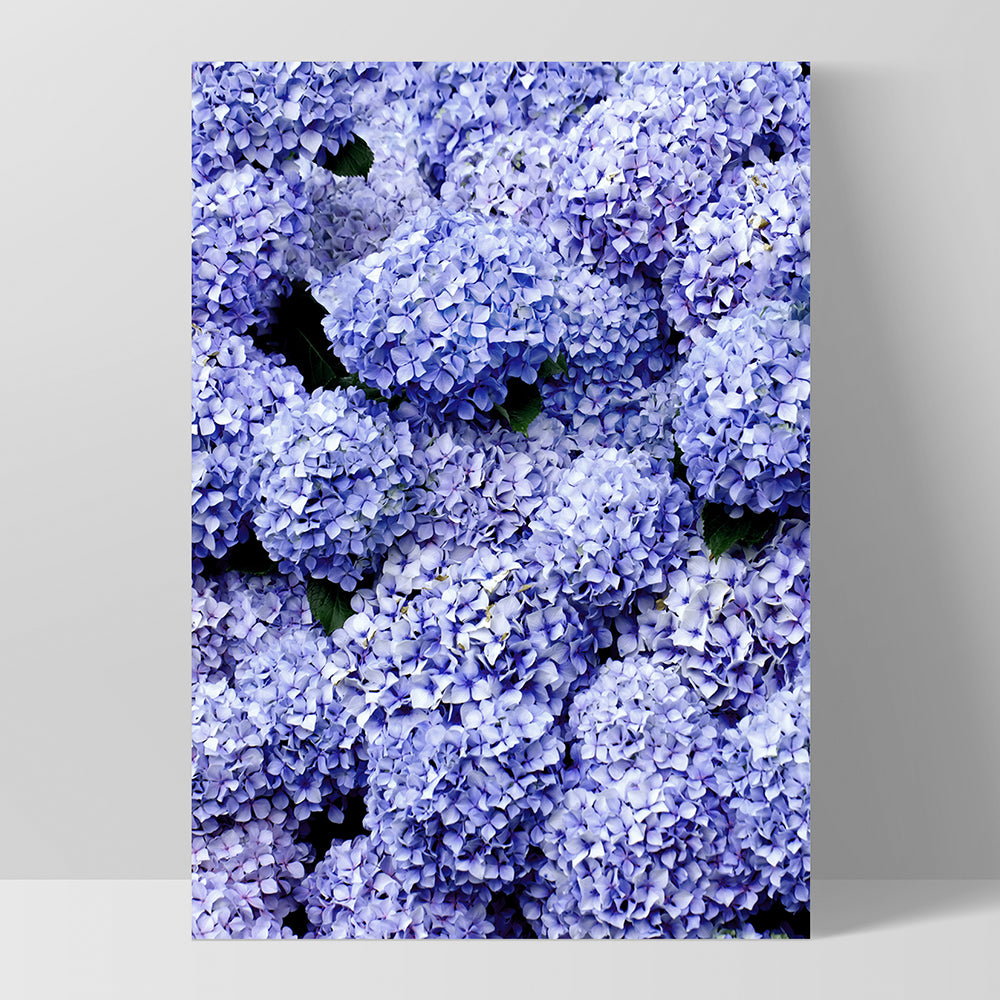 Purple Hydrangea Detail - Art Print, Poster, Stretched Canvas, or Framed Wall Art Print, shown as a stretched canvas or poster without a frame