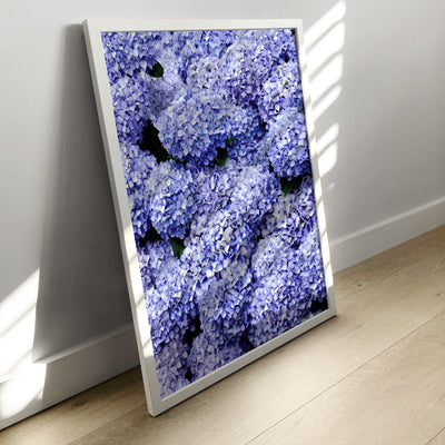 Purple Hydrangea Detail - Art Print, Poster, Stretched Canvas or Framed Wall Art Prints, shown framed in a room