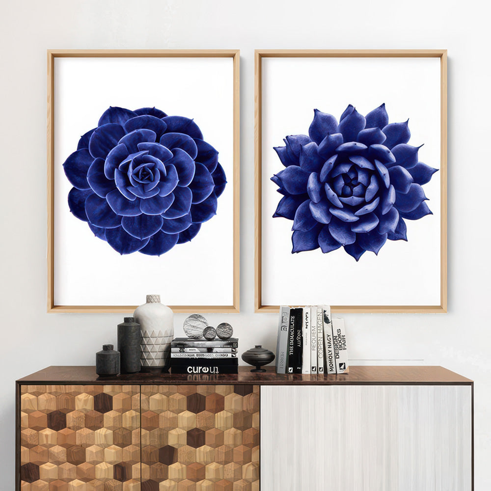 Indigo Succulent II - Art Print, Poster, Stretched Canvas or Framed Wall Art, shown framed in a home interior space