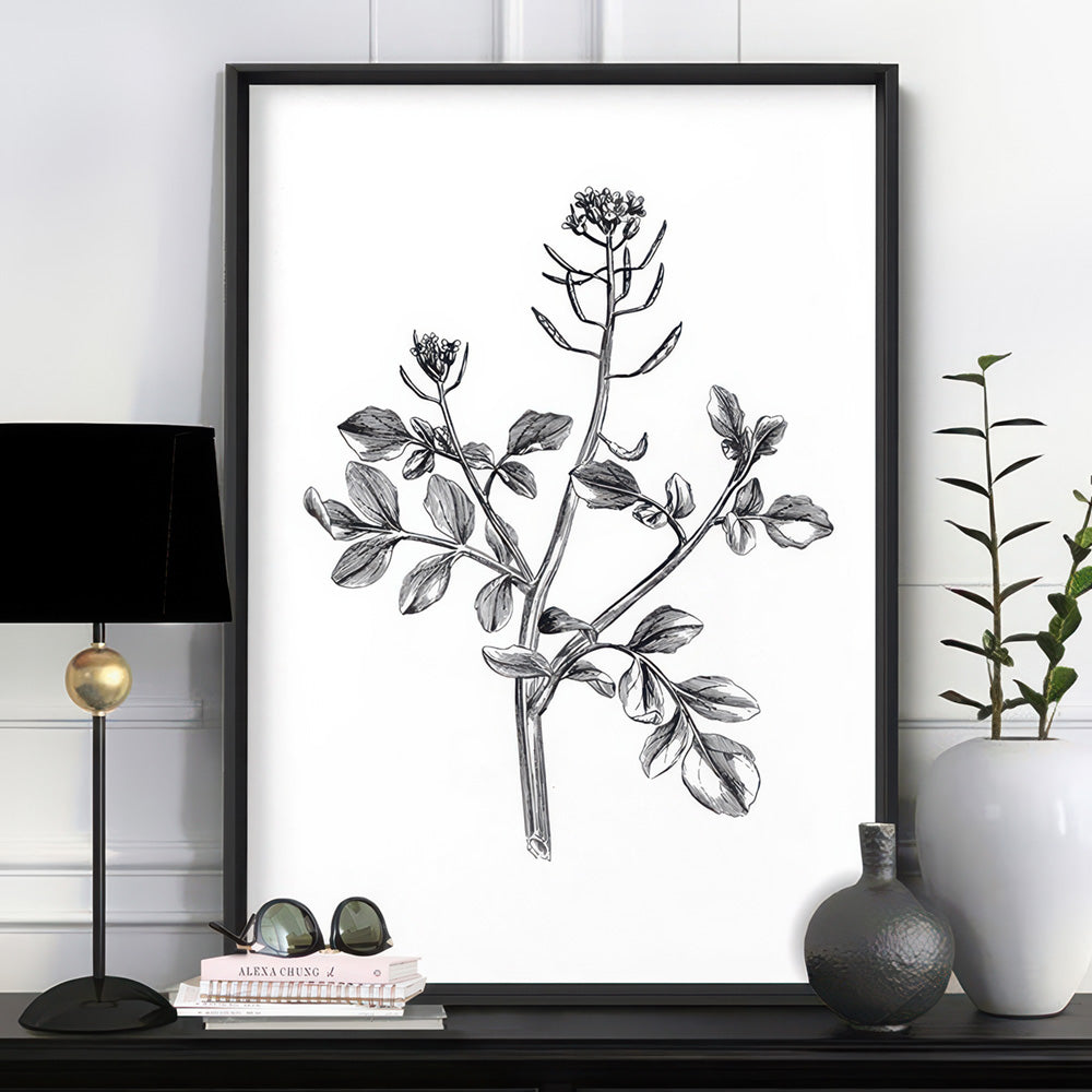 Botanical Floral Illustration I - Art Print, Poster, Stretched Canvas or Framed Wall Art Prints, shown framed in a room