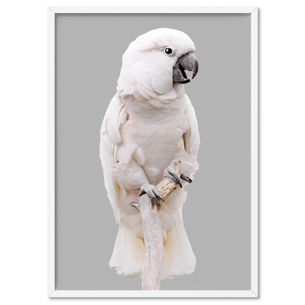 Salmon Crested Cockatoo - Art Print, Poster, Stretched Canvas, or Framed Wall Art Print, shown in a white frame