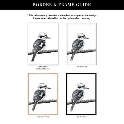 Kookaburra on Branch - Art Print, Poster, Stretched Canvas or Framed Wall Art, Showing White , Black, Natural Frame Colours, No Frame (Unframed) or Stretched Canvas, and With or Without White Borders