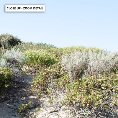 Sand Dune Botanicals Perth I - Art Print, Poster, Stretched Canvas or Framed Wall Art, Close up View of Print Resolution