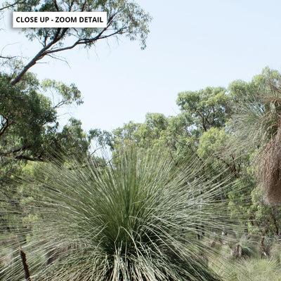 Australian Bush Grass Trees I - Art Print, Poster, Stretched Canvas or Framed Wall Art, Close up View of Print Resolution