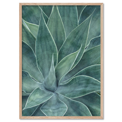 Agave Detail I - Art Print, Poster, Stretched Canvas, or Framed Wall Art Print, shown in a natural timber frame